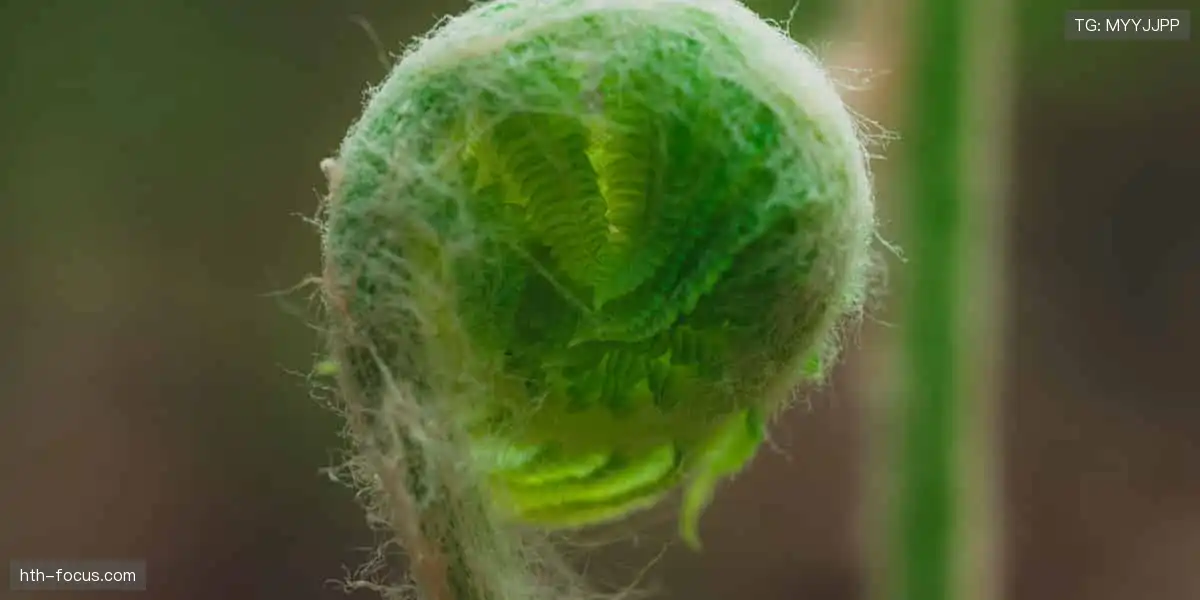 速度与激情交织,赛事直播永不卡顿!💨